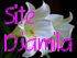 Le site de Djamila
