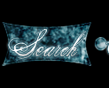 Search