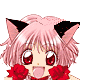 No new posts