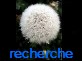 Search
