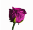 New posts [ Popular ]