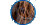 No new posts No new posts