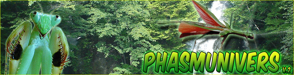 Phasmunivers Forum Index