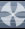 19 cab passion Forum Index