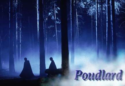 Poudlard interactif Forum Index